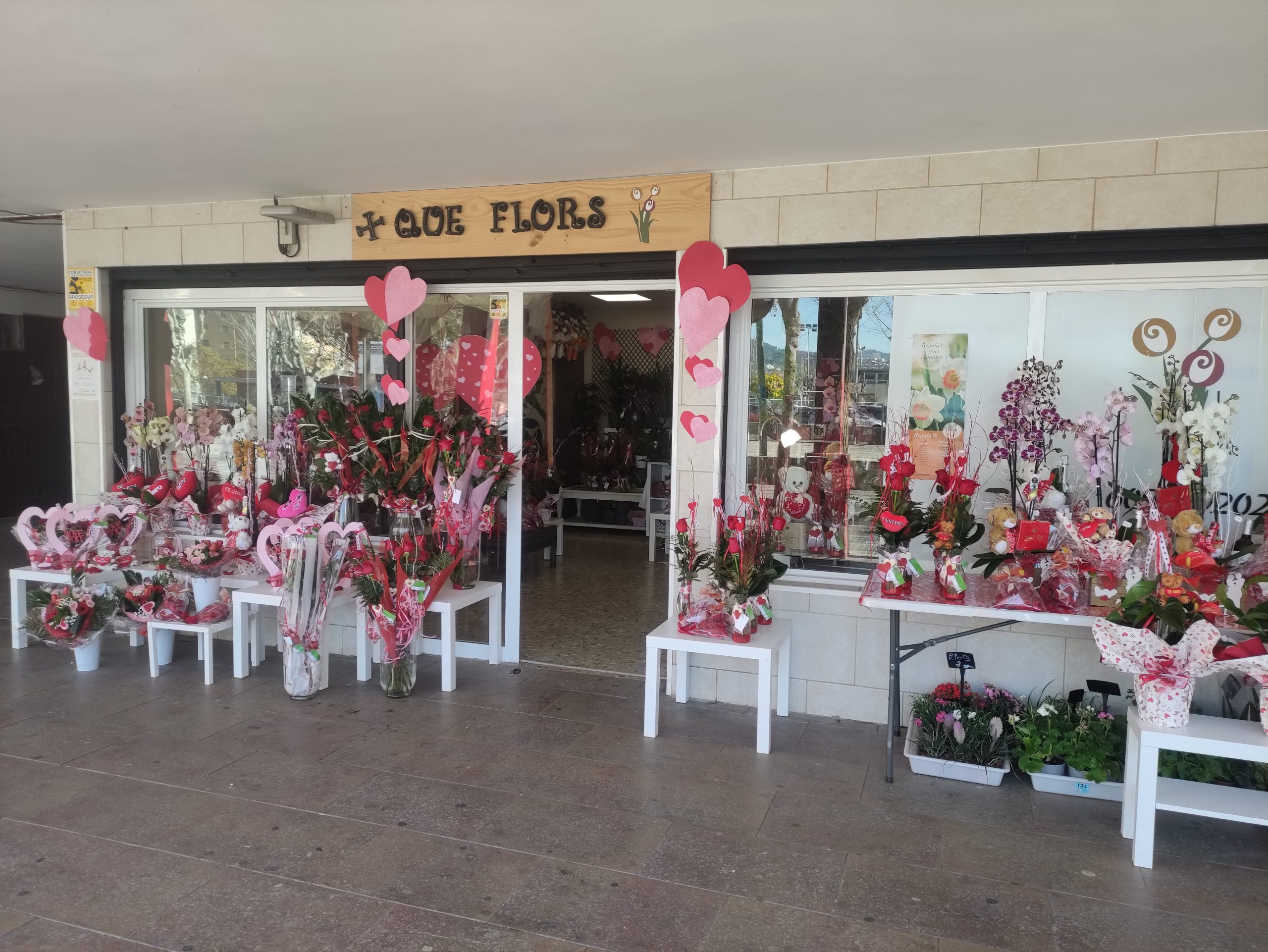 Flores varias